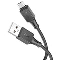 Cable USB to Micro-USB “X101 Assistant”