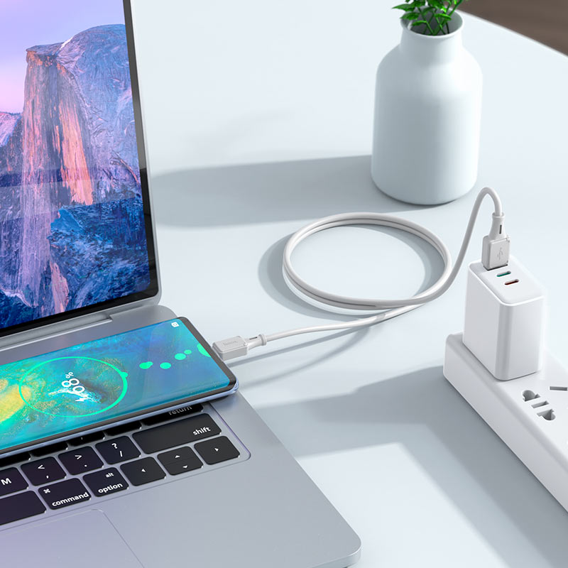 Cable USB to Type-C “X101 Assistant”