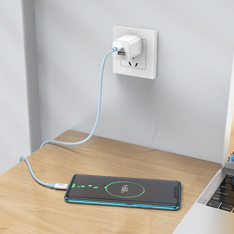 Cable Type-C to Type-C “X68 True color” 100W  charging data sync