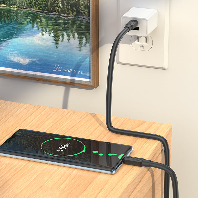 Cable Type-C to Type-C “X84 Solid” 60W charging data sync