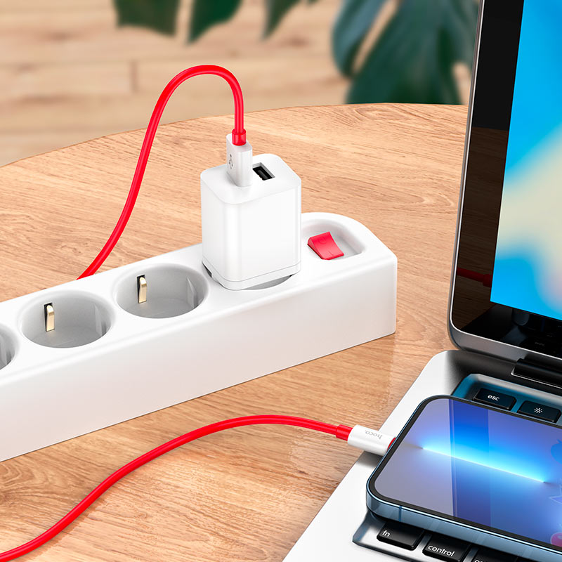 Cable USB to Lightning “X87 Magic”