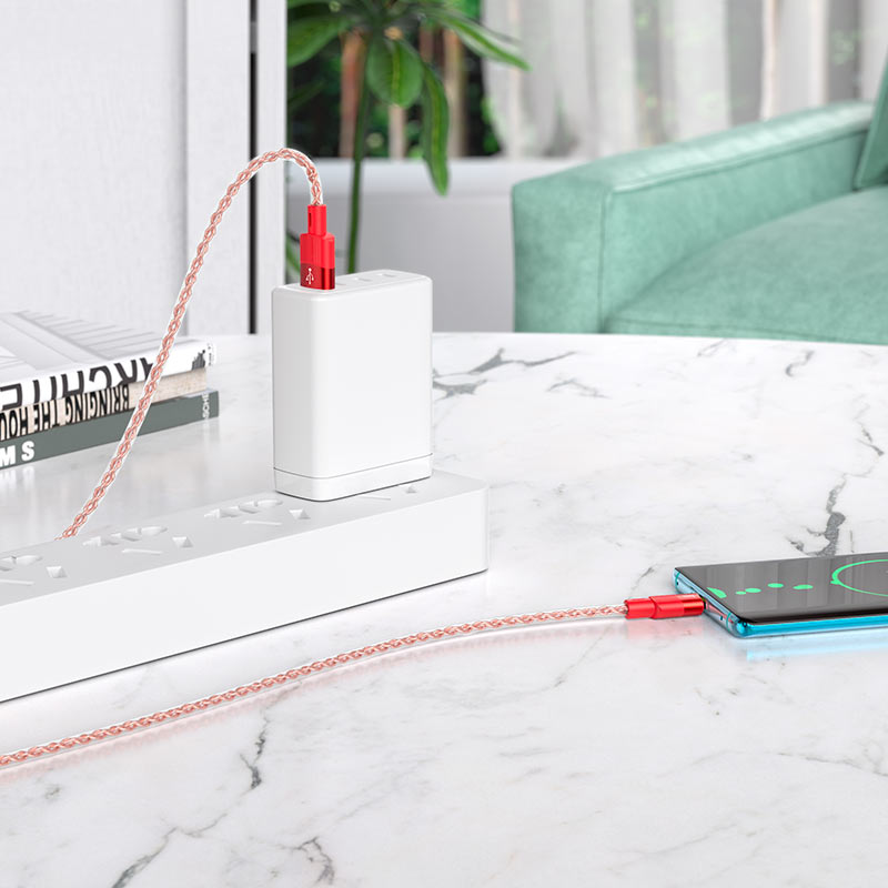 Cable USB to Type-C “X99 Crystal junction”