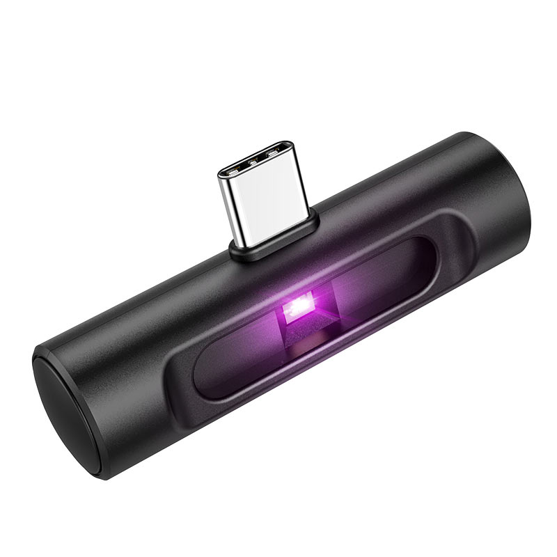 UV disinfection lamp “XD100”