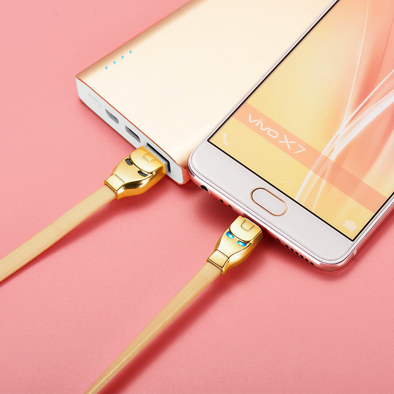 Cable USB to Micro USB «U14 Steel man» charging data sync