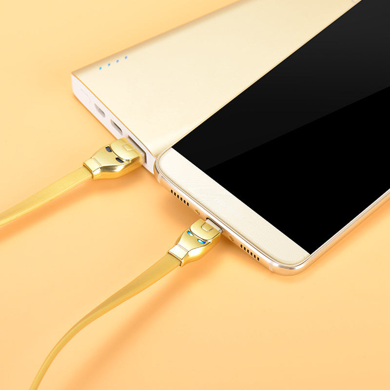 Cable USB to Type C «U14 Steel man» charging data sync