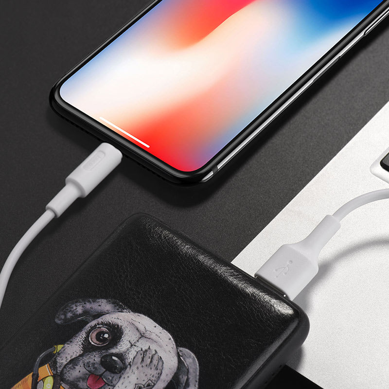 Cable USB to Lightning «X25 Soarer» charging data sync
